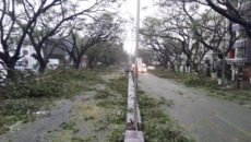 in-pics-vardha-cyclone-hits-chennai_17